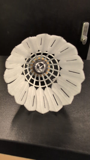 Victor New CarboSonic NCS Badminton Shuttlecock