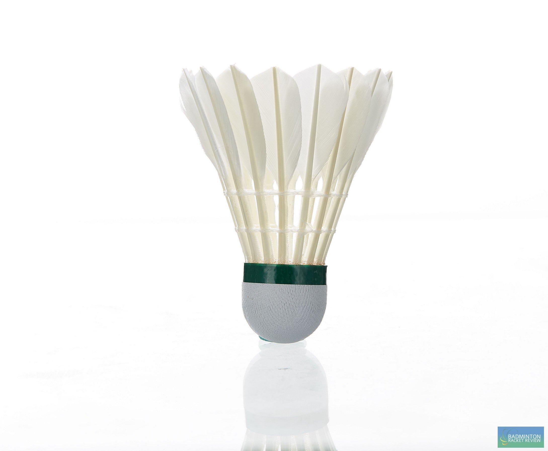 Kawasaki King 6E Goose Feather shuttlecock - Excellent VALUE option ...