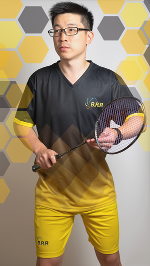 Sting Badminton/Tennis/Squash T-Shirt and Shorts - badminton racket review